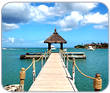 06 Nights & 07 Days at Mauritius